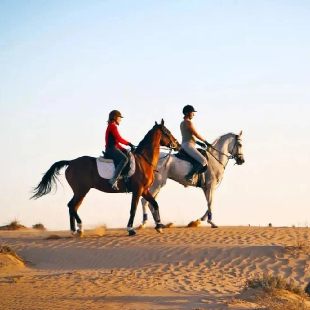 Horse Riding Desert