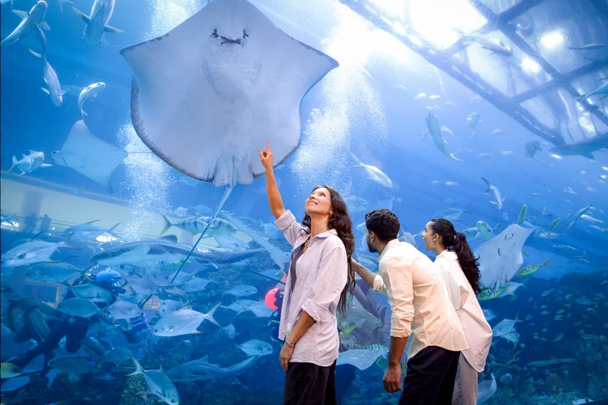 Dubai Aquarium and Underwater Zoo — photograph 5