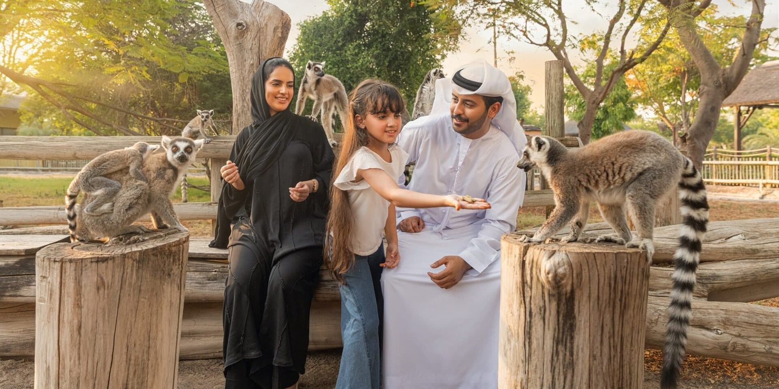 Dubai Safari Park — photograph 2