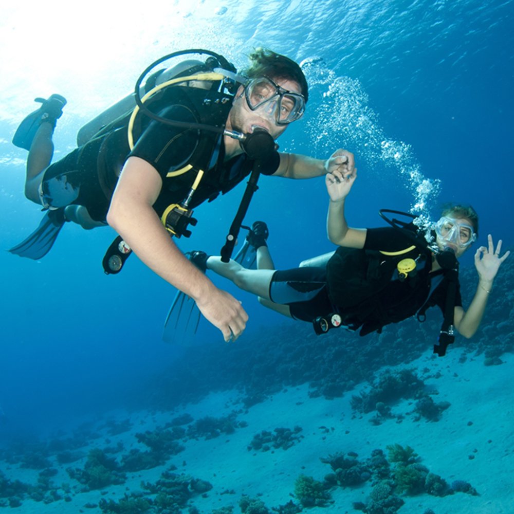 Fujairah Scuba Diving — photograph 2