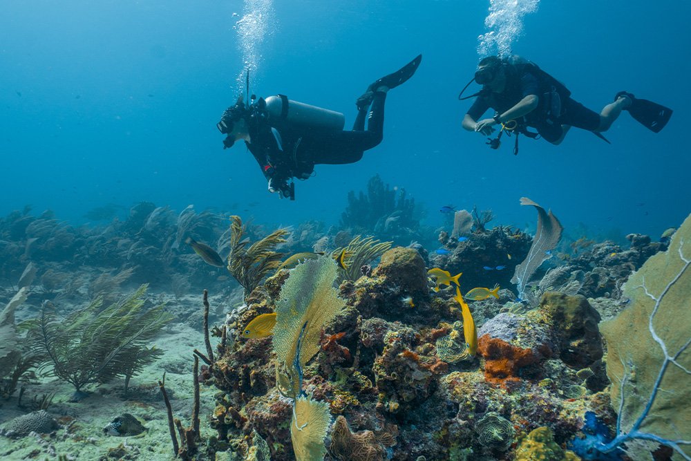 Fujairah Scuba Diving — photograph 5