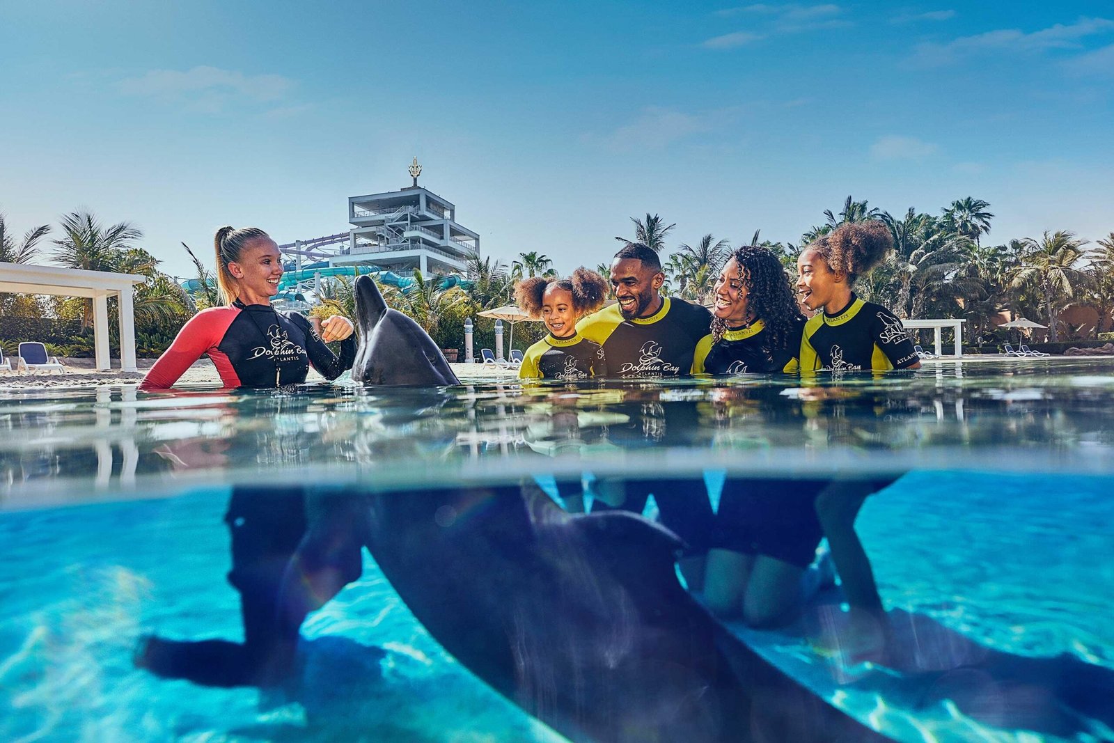 Dolphin Experience Atlantis