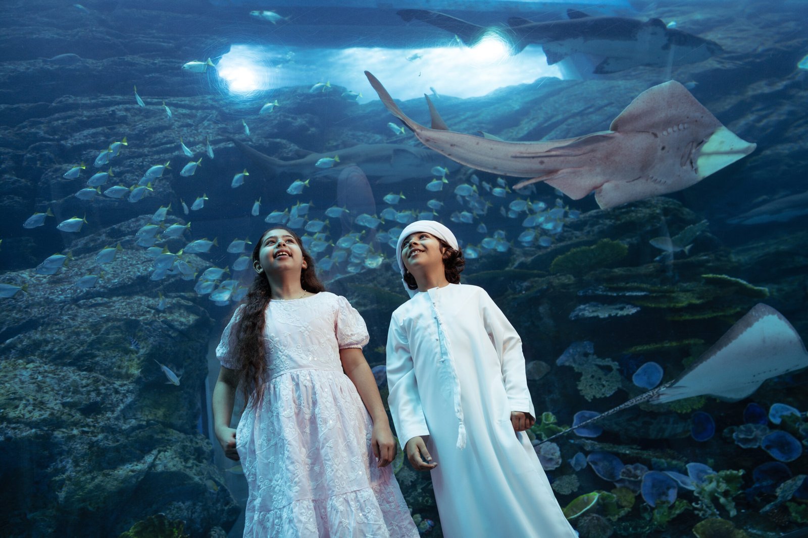 At the Top + Dubai Aquarium — photograph 5