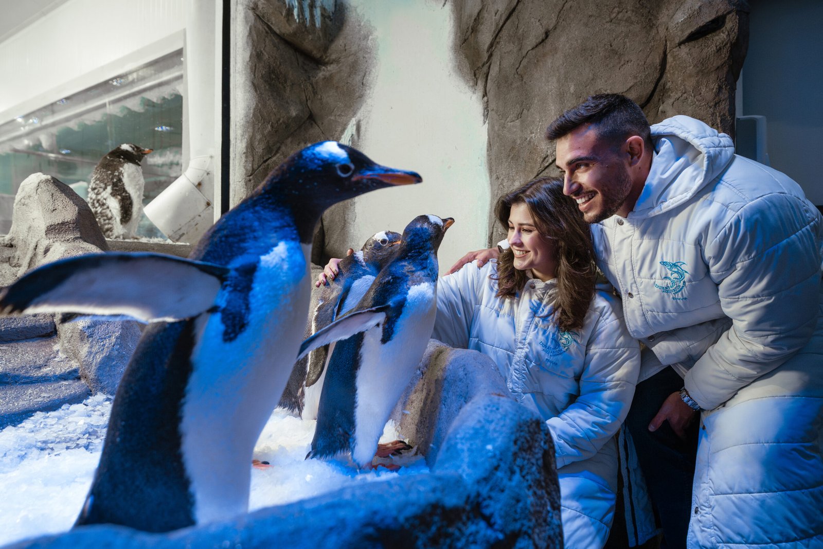 Dubai Aquarium and Underwater Zoo — photograph 3