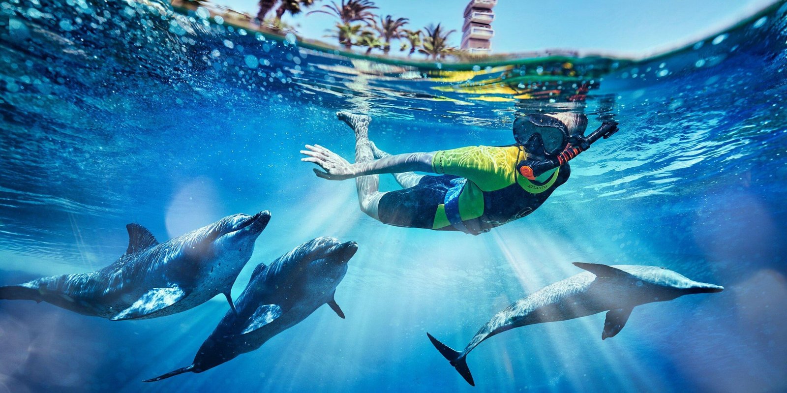 Dolphin Experience Atlantis — photograph 2