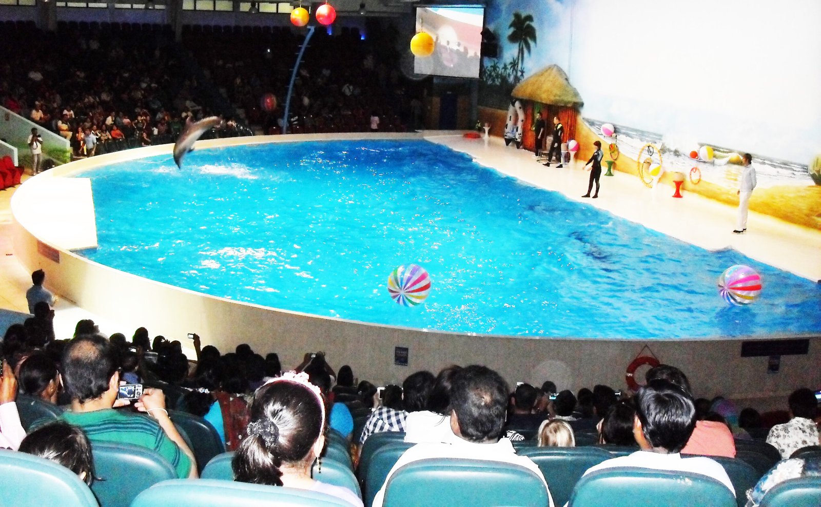 Dubai Dolphinarium — photograph 3