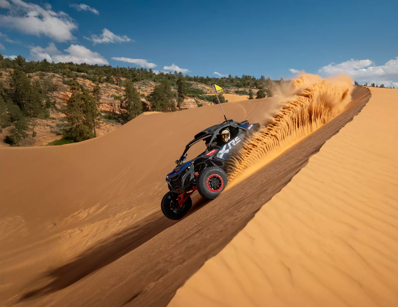 Dune Buggy-Self Drive Tours — photograph 3