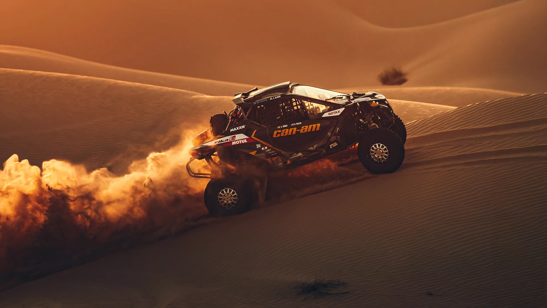 Dune Buggy-Self Drive Tours — photograph 4