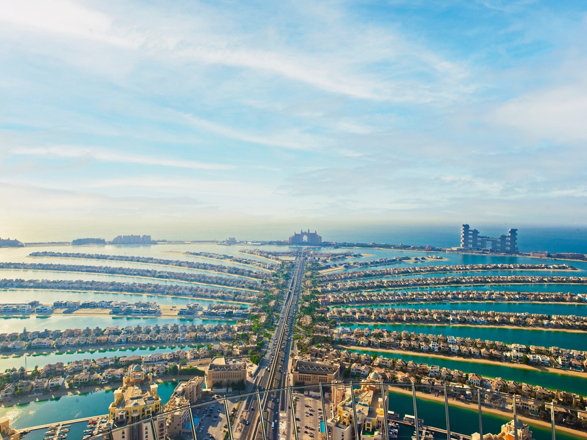 The View at The Palm Next Level — photograph 2