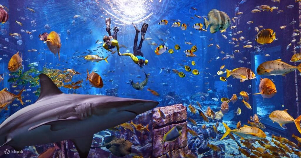 Ultimate Snorkel
