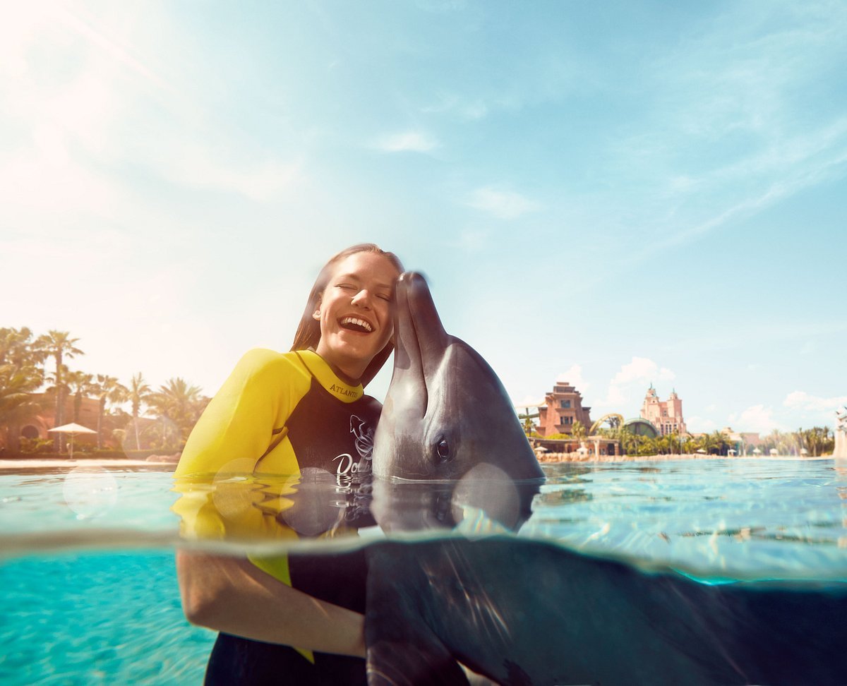 Dolphin Experience Atlantis — photograph 4