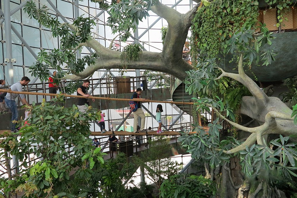 Green Planet Dubai — photograph 4