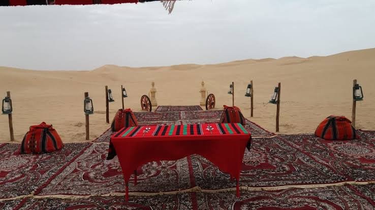 VIP Desert Safari — photograph 4