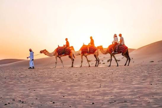 Desert Safari with Camel Ride