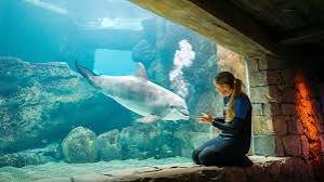 SeaWorld Yas Island — photograph 3
