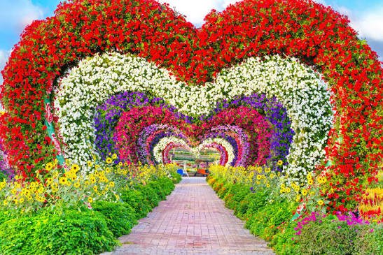 Dubai Miracle Garden — photograph 3