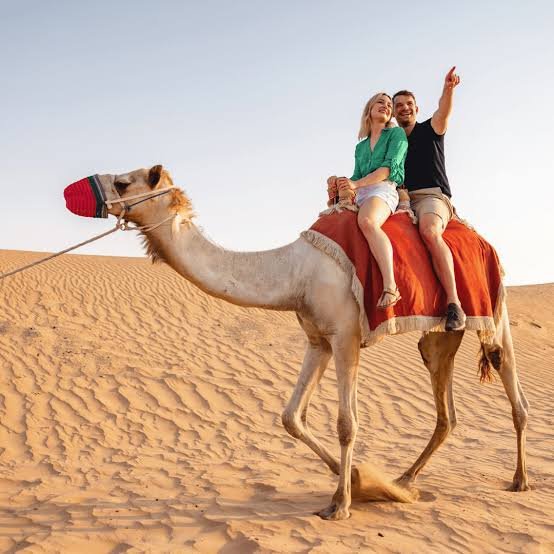 Camel Riding — photograph 2