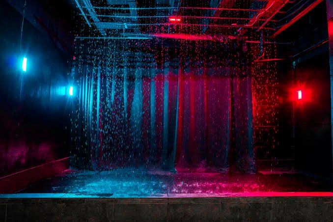 Rain Room Sharjah — photograph 4
