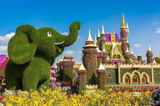 Dubai Miracle Garden — photograph 4