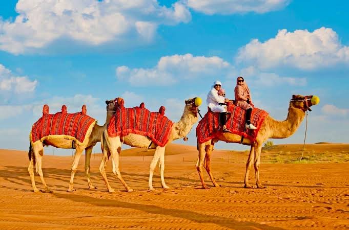 Camel Riding