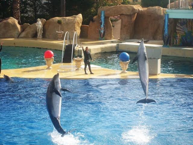 SeaWorld Yas Island — photograph 4