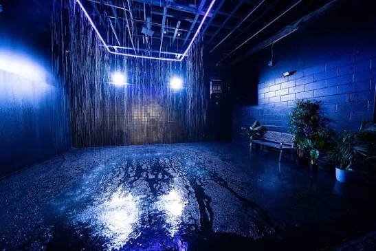 Rain Room Sharjah — photograph 2