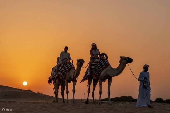 Desert Safari with Dune Buggy — photograph 4