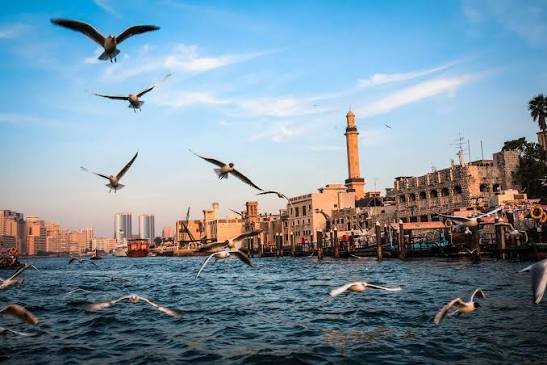 Dubai Full Day City Tour — photograph 4