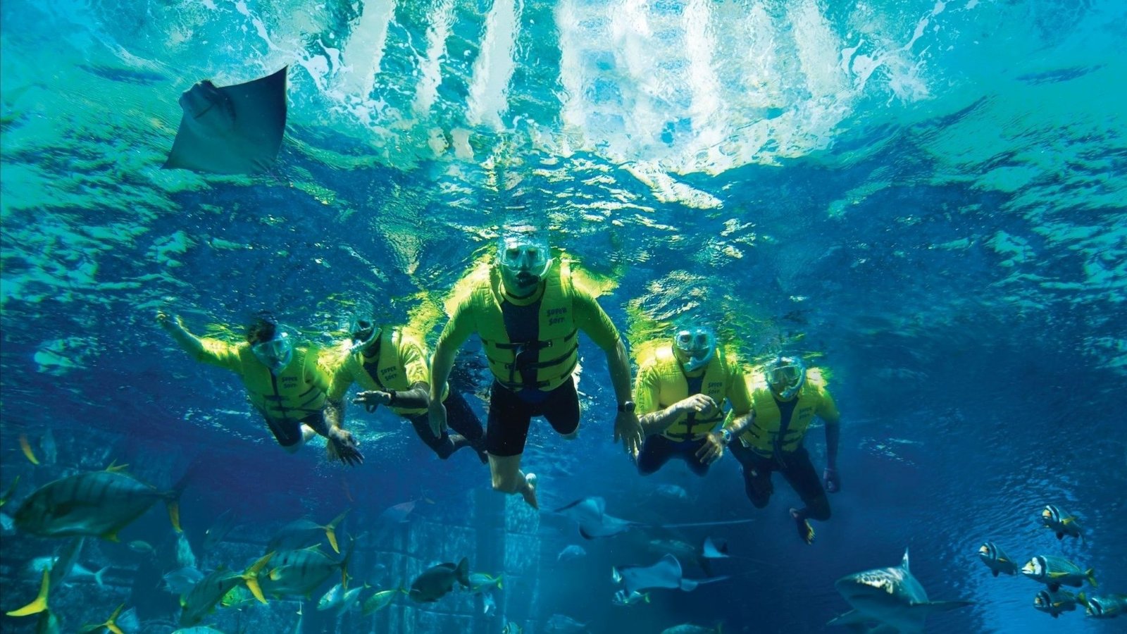 Ultimate Snorkel — photograph 3