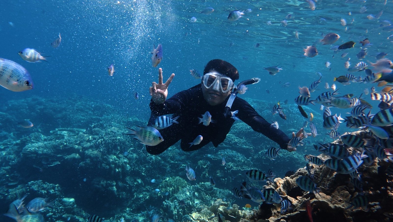 Fujairah Snorkelling — photograph 2