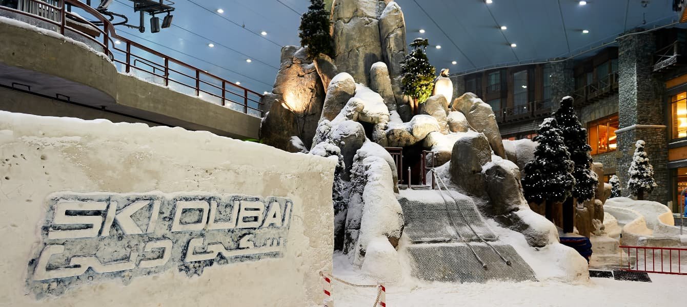 Ski Dubai — photograph 3