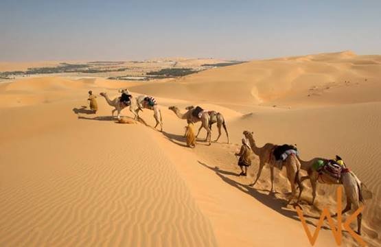 Liwa Desert Safari