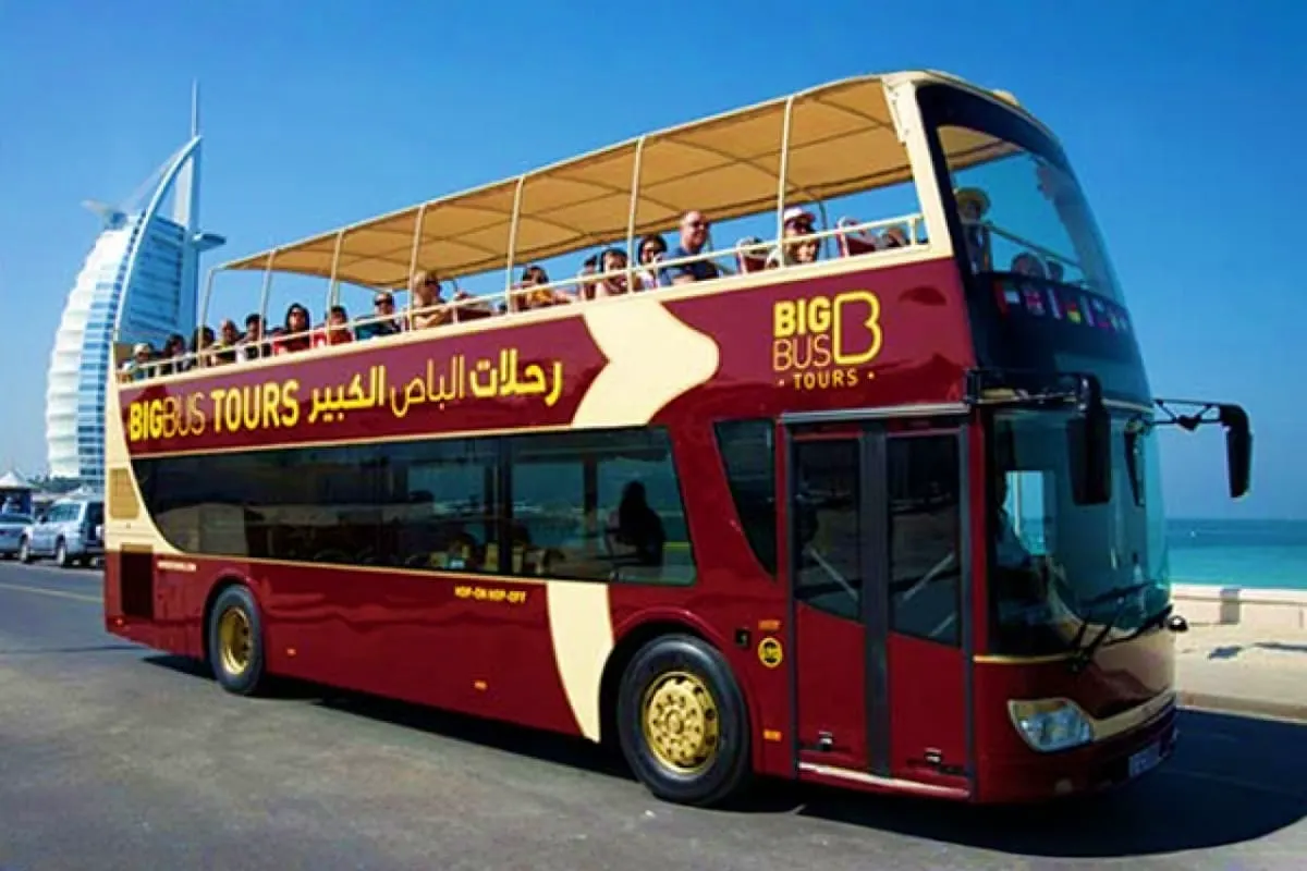 Big Bus Tours — photograph 3