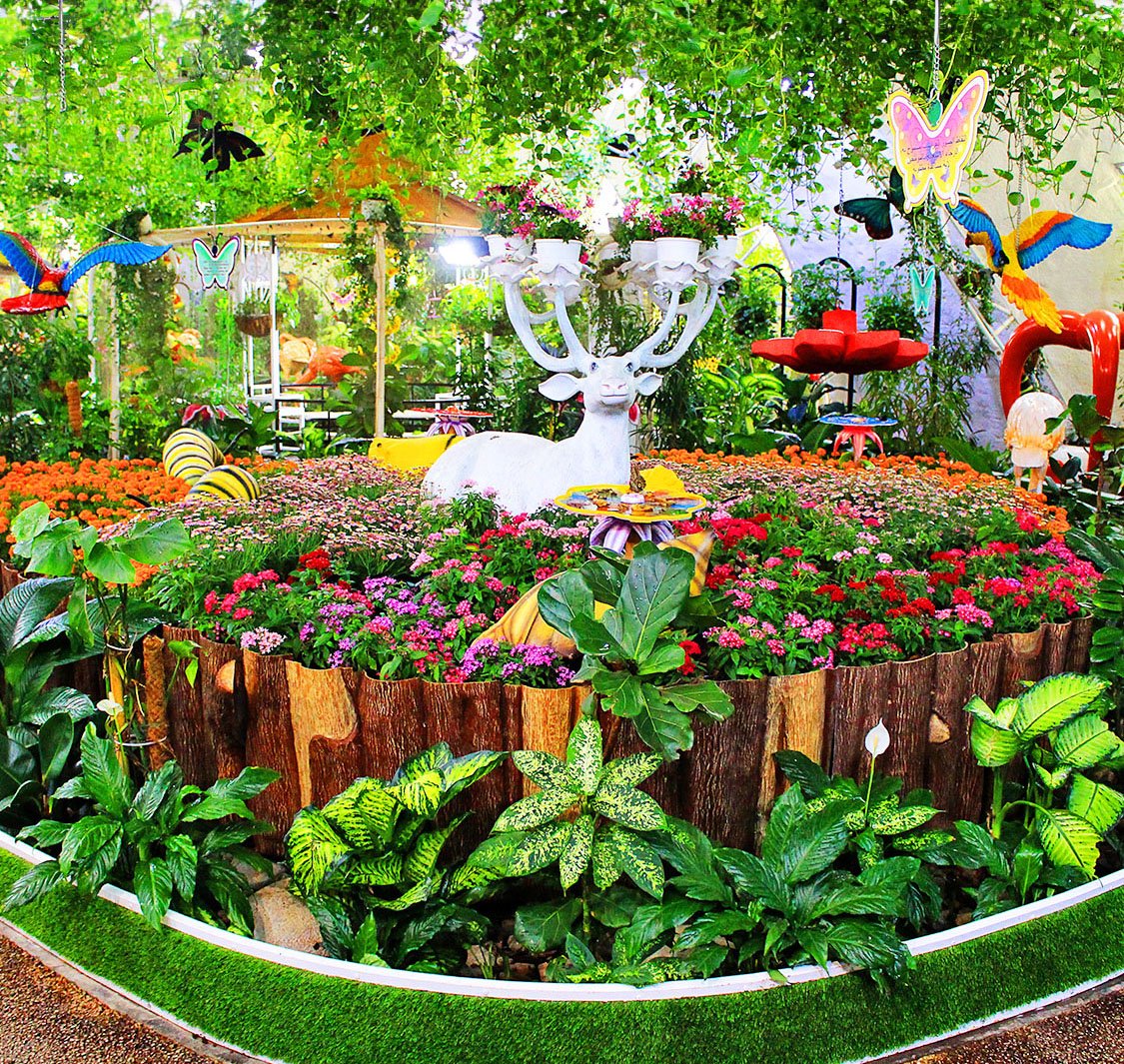 Butterfly Garden – Dubai — photograph 4